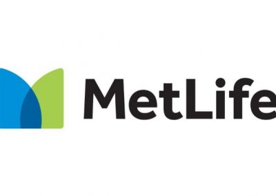 MetLife Strategic Space Initiative